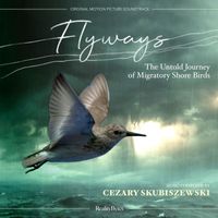 Cezary Skubiszewski - Flyways: The Untold Journey of Migratory Shore Birds (Original Motion Picture Soundtrack)