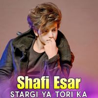 Shafi Esar - Stargi Ya Tori Ka