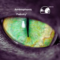 Ambiophonic - Felinity