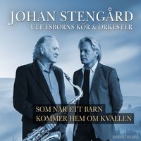 Johan Stengård - Som när ett barn kommer hem om kvällen
