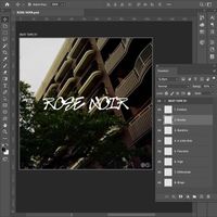 Rose Noir - Brooks