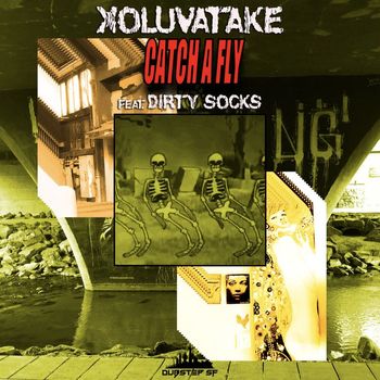 Xoluvatake - Catch A Fly