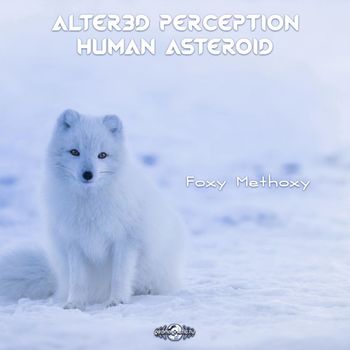 Alter3d Perception, Human Asteroid - Foxy Methoxy