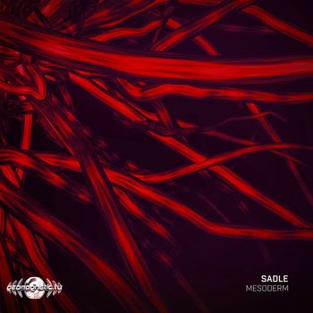 Sadle - Mesoderm