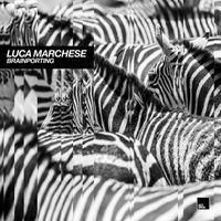 Luca Marchese - Brainporting Remixes