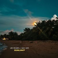 Lee Wilson - Sunlight