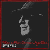 David Wills - When a Plan Comes Together