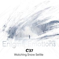 C37 - Watching Snow Settle