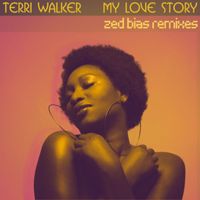Terri Walker - My Love Story - Zed Bias Remixes
