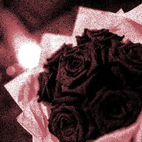 Laudiano - Rose Petals (Explicit)