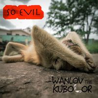Wanlov the Kubolor - So Evil