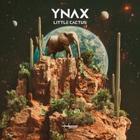 Ynax - Little Cactus