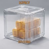 Kinky - In Cube