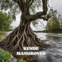 Kende - Mangroves