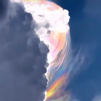 Pure Colors - Forever
