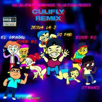 DJ Fabi - CULIFLY (REMIX)