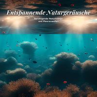 Hintergrundmusik Akademie - Entspannende Naturgeräusche: Beruhigende Naturklänge und Meereswellen