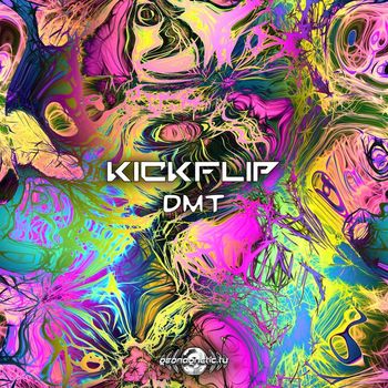 KickFlip - DMT