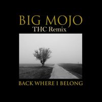 Big Mojo - Back Where I Belong (THC Remix)