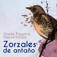 Charlie Figueroa - Zorzales de Antaño… Ojazos Verdes
