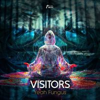 Visitors - Yeah Fungus