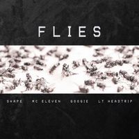 Shape - Flies (Explicit)