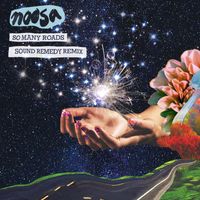 Noosa - So Many Roads (Sound Remedy Remix)