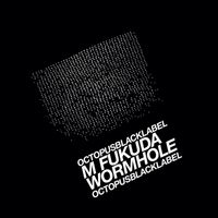 M. Fukuda - Wormhole