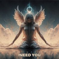 Newton - Need you