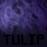 Tulip - IF FLAMES WERE VIOLET