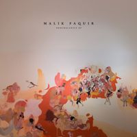 Malik Faquir - Nonchalanty EP