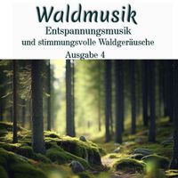 Waldgeräusche - Waldmusik: Entspannungsmusik und stimmungsvolle Waldgeräusche, Ausgabe 4