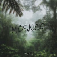 Indigo - MosaÃ­co