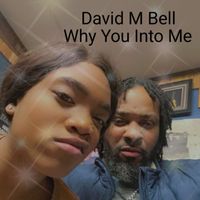 David M Bell - Why Are You Into Me (Ver 1 [Explicit])