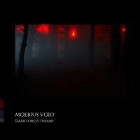 Moebius Void - Dark Forest Theory