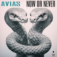 Avias - Now Or Never