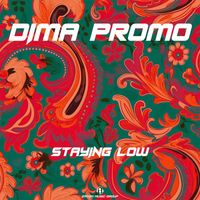 Dima Promo - Staying Low