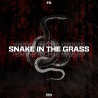 Fg - Snake in the Grass (Explicit)