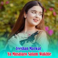 Zeeshan Marwat - Ya Musafaro Salam Wakhle