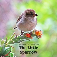 Country Gentlemen - The Little Sparrow