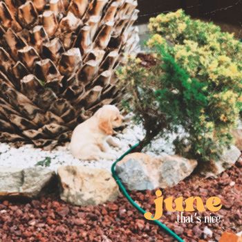 That's Nice - june