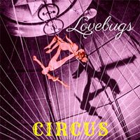 Lovebugs - Circus