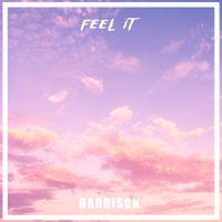 Harrison - Feel It