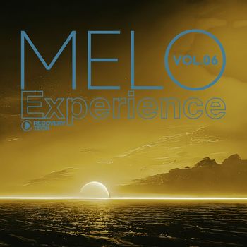 Various Artists - Melo Experience, Vol.06