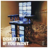 Diskette - If You Want