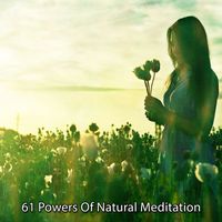 Brain Study Music Guys - 61 Powers Of Natural Meditation