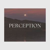 Meditation Awareness - Perception