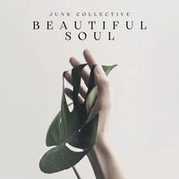 Junk Collective - Beautiful Soul