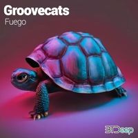 Groovecats - Fuego