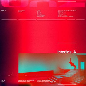 Various Artists - Interlink: A